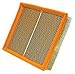 WIX Filters - 42620 Air Filter Panel, Pack of 1