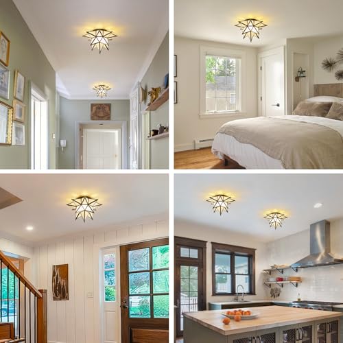 Image of Moravian Star Ceiling Light - 12.7 Inch Brass & Frosted Milk Glass, Black