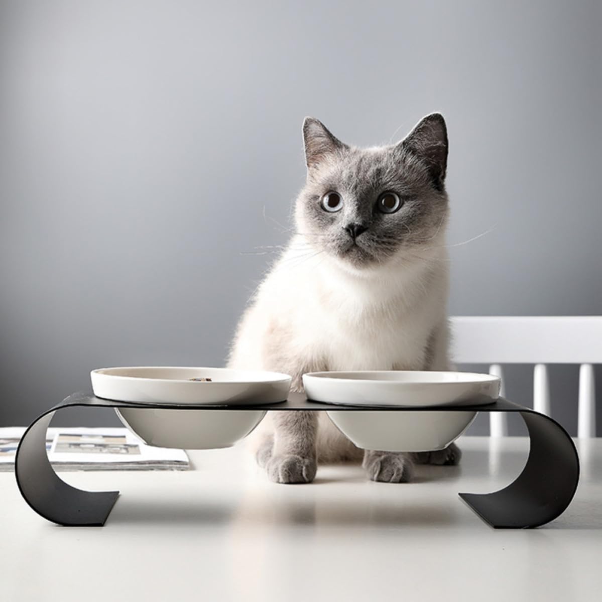 Comedero para Mascotas Cuencos de Cerámica y Soporte de Hierro Resistente, Doble Tazón Elevado para Gatos y Perros Pequeños, Diseño Simple y Práctico en Color Blanco