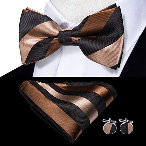 Image of Dubulle Mens Paisley Striped Bowtie Set Pre-tied Bowtie for Men and Pocket Square Set Wedding Business