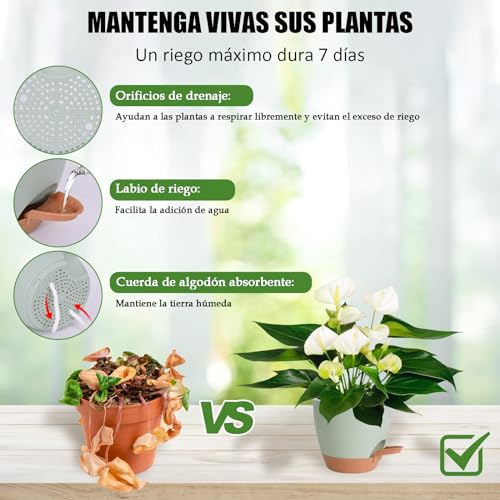 Macetas, Lawn & Patio Imagen adicional