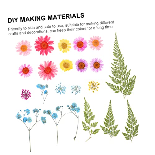 SEWACC 9 Conjuntos Estojo Para Scrapbooking Decalque Sabão Folhas Suprimentos Flores Pétalas Unhas T