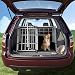 CADOCA® Hundetransportbox XXL Aluminium
