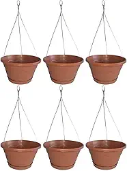 Kit 6 Vaso Cuia 21 Suspenso Com Prato + Cabo de Aço 40cm Vaso Pendente de Parede Para Samambaia Cerâmica Terracota de Plástico Reciclado - 1927