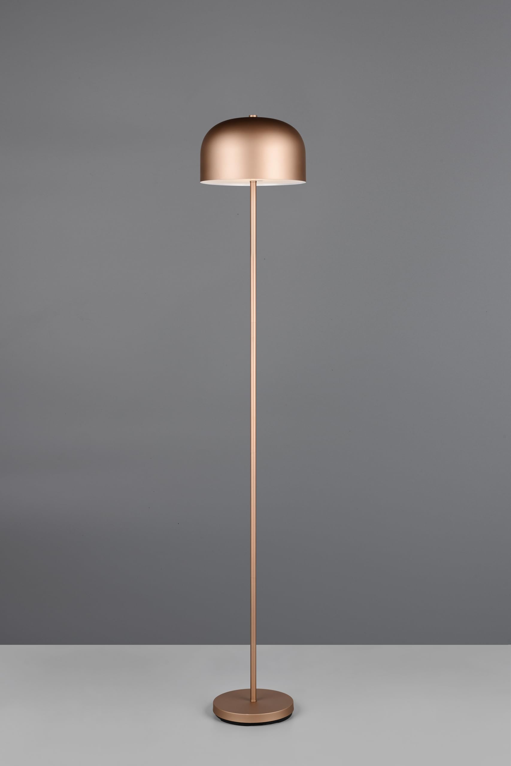 Reality Leuchten lampa stojąca LED z akumulatorem Jeff R49151165, metalowa kawa, w zestawie 2,5 W LED