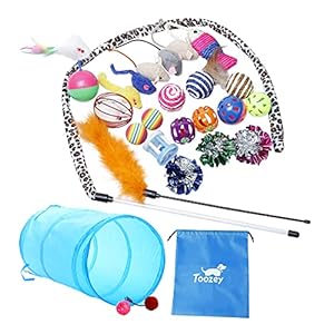 Toozey Katzen Spielzeug 24 Stück Katzenspielzeug Set mit Katzentunnel, Bälle, Federspielzeug, Plüschspielzeug, Spielzeugmäuse Katzen Spielzeug Variety Pack für Kitty Katzen, Bonus Aufbewahrungstasche
