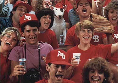 Vintage Advertising Postcard: Spuds MacKenzie - Bud Light Modern 1970's to Present