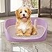 Leefasy Dog Toilet Training Potty Tray, Pet Pan Bedpan Training Pads Holder Training Pad Toilet Potty Trainer for Small Animals, Home, Puppy, Purple 40x30x11cm