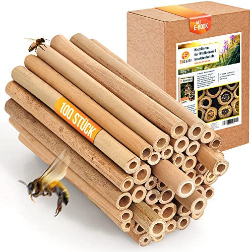 BEESI Bambusröhrchen für Insektenhotel I 14 cm Länge I Bambus für Bienenhotel I Füllmaterial Wildbienen Zubehör (100x BEESI Bambus)