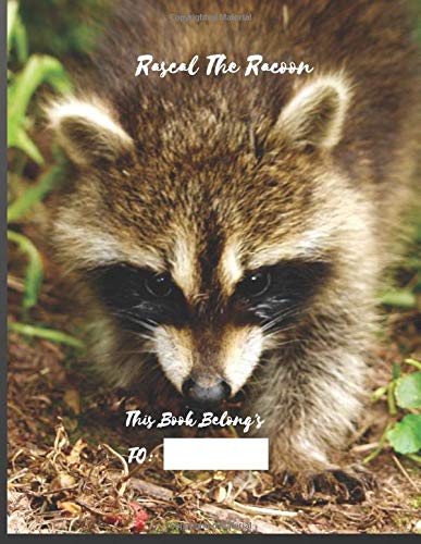 Rascal The Racoon