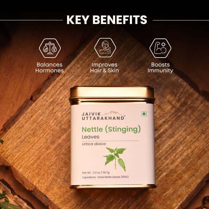 Image of Jaivik Uttarakhand - Nettle Leaf Tea (170.1 g), Dried Stinging Nettle Leaves, Helps Control Blood Sugar, Reduces Inflammation and Body Pain, Pack of 3 Tin Can