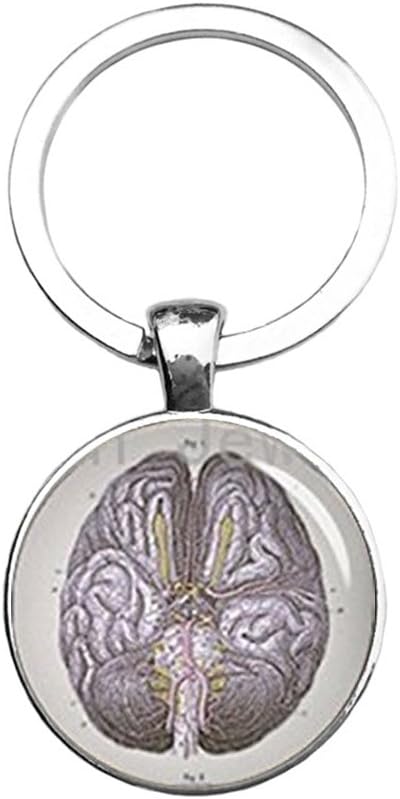 CUZSTX1OM1 Retro Anatomy Jewelry Anatomical Brain Keychain Human Brain Anatomy Body Key Ring