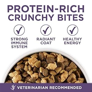 Purinaonehighproteindryseniordogfoodplusvibrantmaturityadult7plusformula311lbbag Urban Country Home Decor Purina one high protein dry senior dog food plus vibrant maturity adult 7 plus formula 311 lb bag urban country home decor