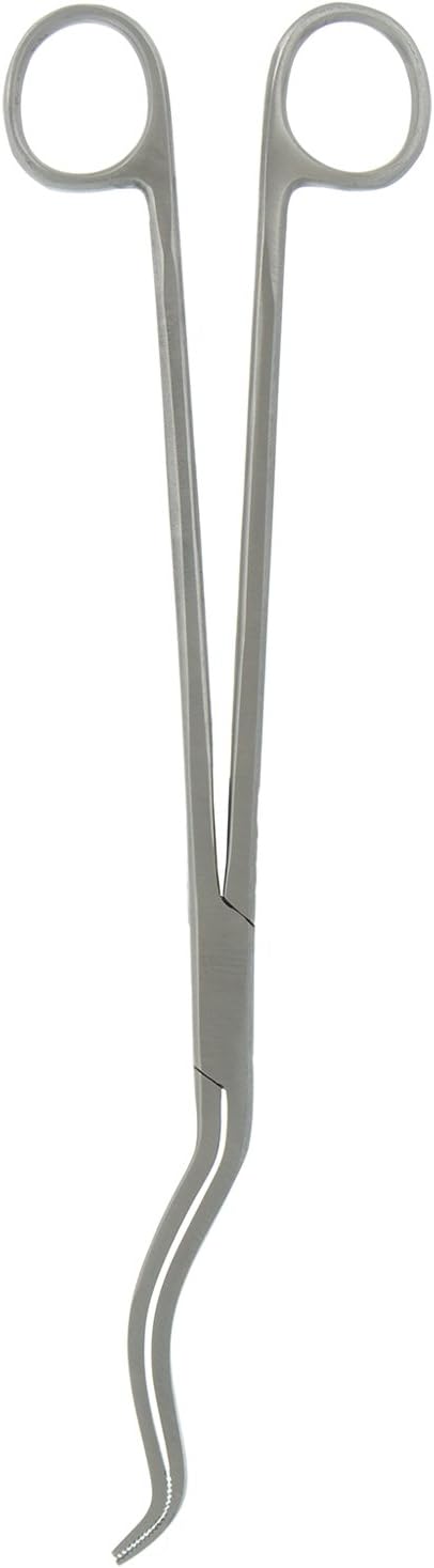 Hi-Tech Chital Forcep 8 inches