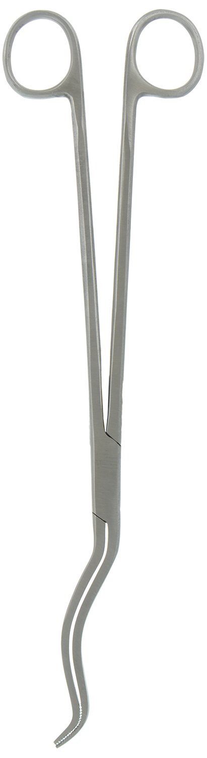 Hi-Tech Chital Forcep 8 inches