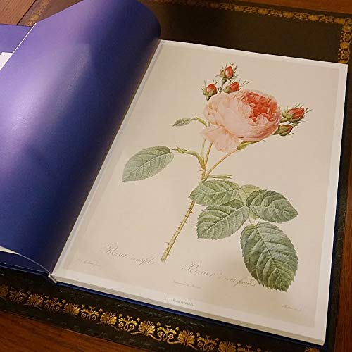 本39／ハードカバー薔薇画集 The Roses： ルドゥーテ Les Roses バラ