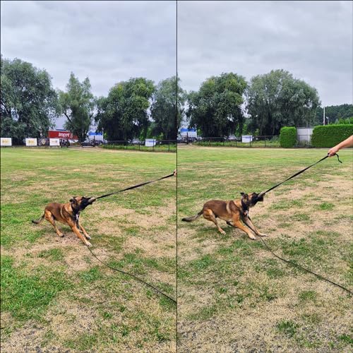 Dingo Hundespielzeug Kunstfell mit Quietsch Pelz Lange Schwarz Bungee-Griff Beisswurst Mop Hundetraining Spiel mit Hund zum Tauziehen Fleece 15585