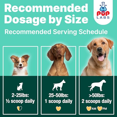 Image of Pup Labs ProDenta Fresh Breath for Dogs, All-Natural Dog Breath Freshener, Dog Dental Powder Made in USA, 30 Servings