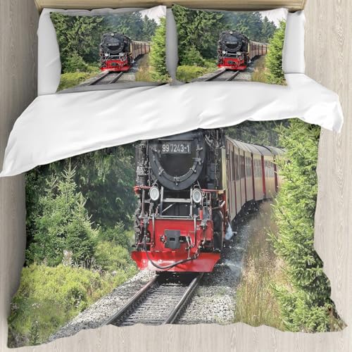 MJNLYDAO Con cuscino, reversibile, coperchio extra-large, con cerniera, fibre morbide materiale leggero,Treno a vapore era industriale motore a vapore treno ferrovia d'epoca locomotiva,178x208cm