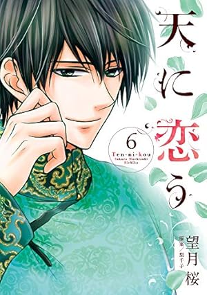 Amazon.co.jp: 天に恋う 13 (ミッシィコミックス/NextcomicsF) : 望月