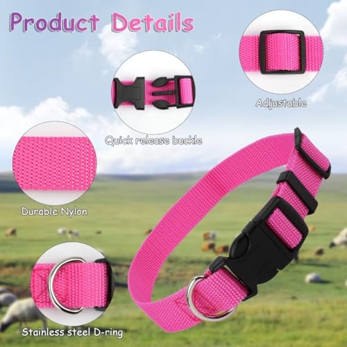 Image of 5 Pack Goat Collars with Bells, Horse Sheep Grazing Copper Bells and Adjustable Nylon Collar Set Pet Anti-Lost Loud Bronze Bell for Small Farm Animal Sheep Cow Accessories