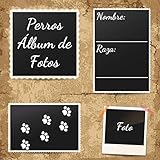  Perros Álbum de Fotos: un gran Álbum de Fotos y Recuerdos para todos los Amigos de los Perros - una gran Idea de Regalo para todos los Amantes de los Perros - 110 Páginas