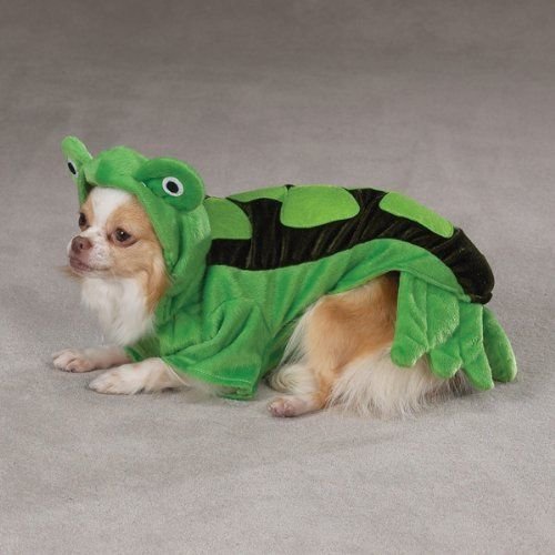Disfraz para perro XL Tortuga verde peluche 3D miniatura 3