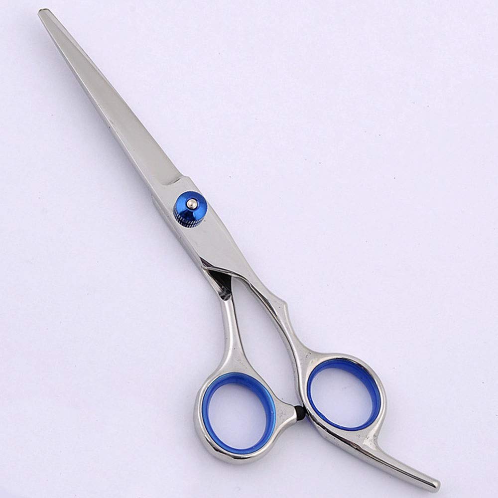 Ciseaux de coiffure 6 pouces bleu avec lames plates et crantées
