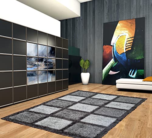 Alfombra salón, habitación, Dormitorio, Comedor, Alfombra Grande de Pelo Largo, alfombras salón Modernas, Lavables,...