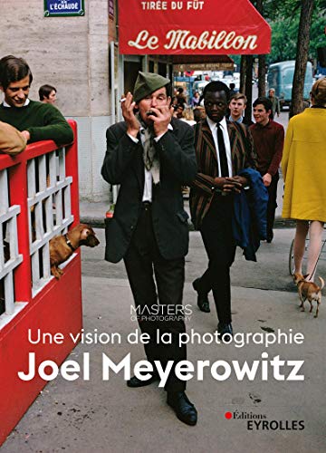 Télécharger Joel Meyerowitz, une vision de la photographie PDF
