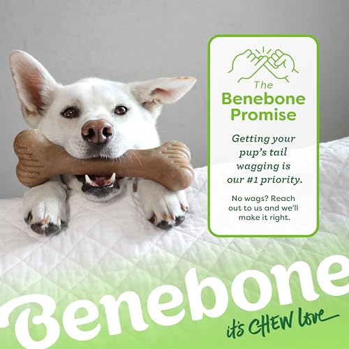 Image of Benebone Bone Durable Dog Chew Toy for Aggressive Chewers, Real Bacon, Made in USA, Giant