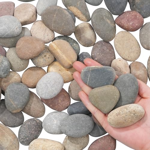 FAHAXIKI Natural River Rocks-5 lbs of Pebbles and River Stones,2-3 Inch Plant Rocks for Landscaping,Garden Paving,Crafting,Walkways,and Outdoor Decorative Stone,Mexican Beach River Rocks