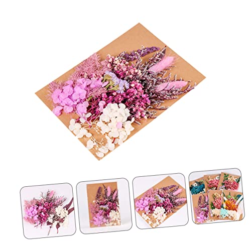Kit de flores secas para manualidades y decoración miniatura 4