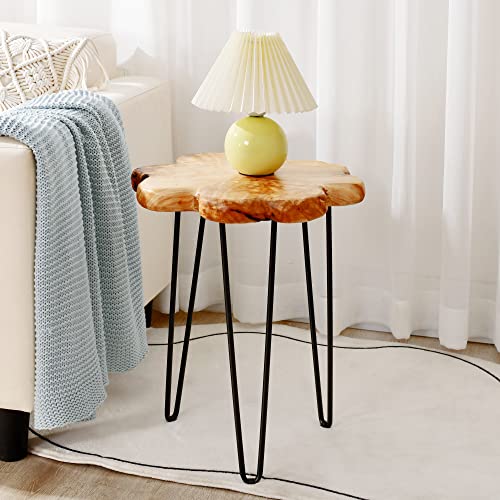 Welland 15" Live Edge Side Table, Wood Freeform Small End Table #TOP1