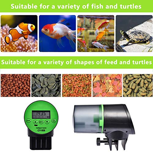 Automatic Fish Feeder Le Meilleur Prix Dans Amazon Savemoney Es