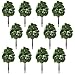 AnyBack Model Trees, Miniature Trees, Rainforest Trees, Diorama Models Trees, Architecture Trees, Model Landscape Railroad Railways Train Scenery Scale Trees with No Stands 12 Set