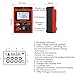 Insulation Resistance Tester, Paint Conductivity Tester, with LCD Display Backlight, Maximum 99 Counts, Sampling Rate 0.5-10/second, for Industrial and Electrical Insulation Testing