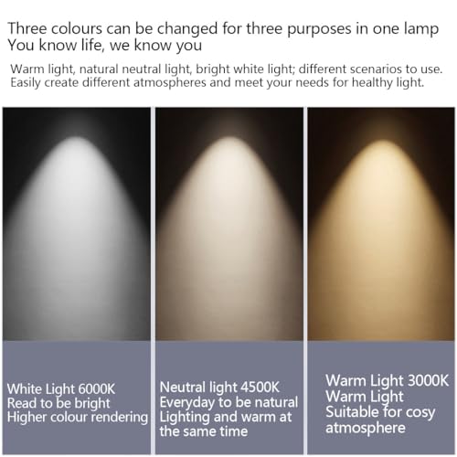 Plafonniers LED effet galet et suspensions pour chambre et bureau 50cm