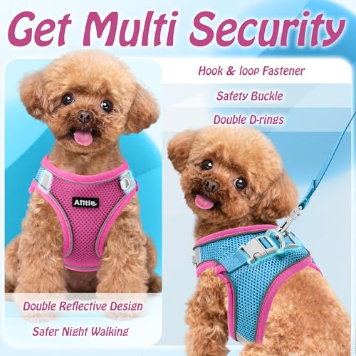 Image of AIITLE Step in Dog Harness and Leash Set - Summer No Pull Escape Proof Vest Harnesses with Soft Mesh and Reflective Bands, Adjustable Pet Outdoor Harnesses for Small and Medium Dogs Hot Pink M
