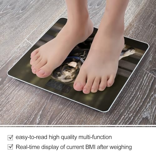 Báscula digital para baño Labrador con pantalla LCD miniatura 5