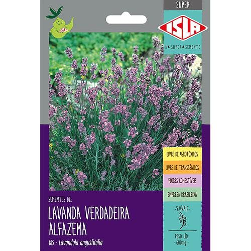 Sementes Lavanda 600mg Isla Verdadeira Alfazema Sem Agrotóxicos F...