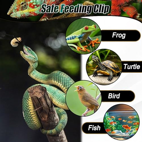 Noviatrix 2 Stück Aquarium Pinzette, 27 cm Reptilien Futterzange Schützt die Finger Lange Pinzette Edelstahl Geeignet für Eidechsen, Spinnen, Schlangen und die Fütterung im Aquarium (Schwarz)