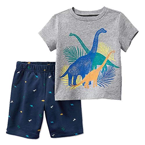 FreeLu Boys Cotton Clothing Sets Summer Shortsleeve T-Shirt&Shorts 2 Packs(4T,Dinosaur)