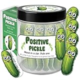 Emotional Support Pickle, Positive Pickle Jar, 60 Positive Affirmations Cards, Daily Affirmations for Women Valentines Day Gifts for Women, Her, Him, Birthday Gifts for Coworkers