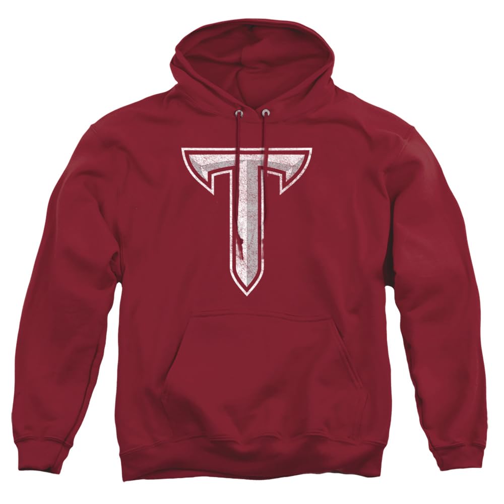 LOGOVISION Official Collegiate Distressed Primary Logo Adult Pullover Hoodie Collection — view 273