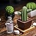 Lively Breeze Maxi Cactus, Non-Electric Ceramic Diffusers for Essential Oils and Aromatherapy Fragrance, White Ceramic Diffusers in Car or Desk Office Decor and Small Bathroom at Home, Brown Vase