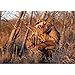 AVIAN-X Ultimate Gun & Gear Stick For Waterfowl Hunting - Lightweight Durable Solid Stable Adjustable OD Green Powder-Coated Stick with Carry Strap