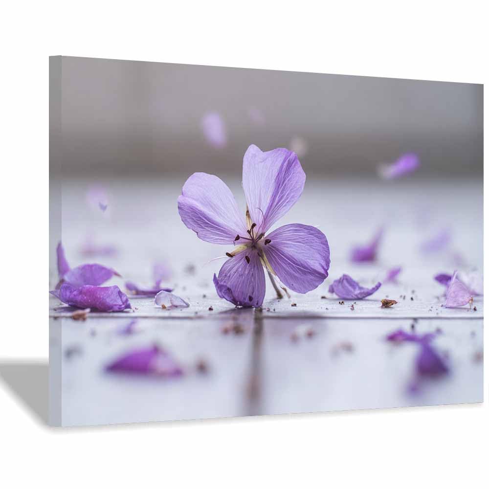 ZAMAEIU Nature Wall Art Scattered petals decorative home accessories, paintings wall art,For living room, bedroom, Apartment Corridor Office etc.(Purple;)-60x90cm Framed