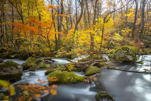 y{i|XgJ[hzX gt  Qphoto by daikegorotHgJ[hyY