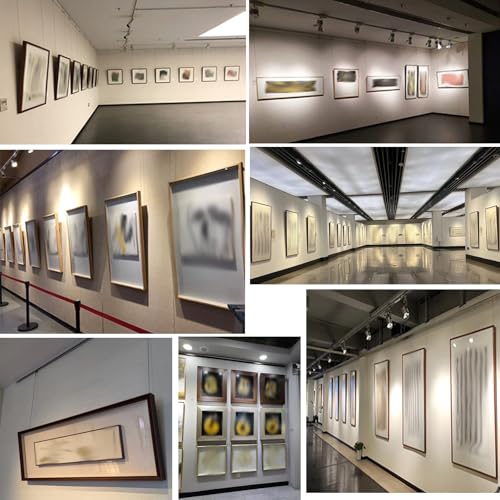 Image of AMUFJJ Art Gallery Ceiling Wall Mount Picture Hanging System Kit, Heavy Duty Photo Display Rail Track with 3 5 6 8 10 FT Long Steel Cords for Library /Museums /Schools(Ceiling Mount,3m /9.8ft Cable)